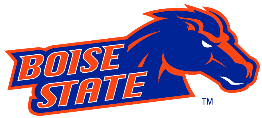 Boise State Broncos 2002-2012 Secondary Logo v9 diy DTF decal sticker